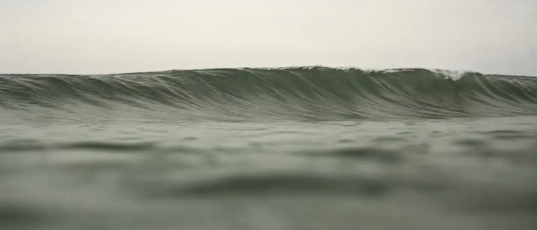 A wave standing up in green water under a pale sky.