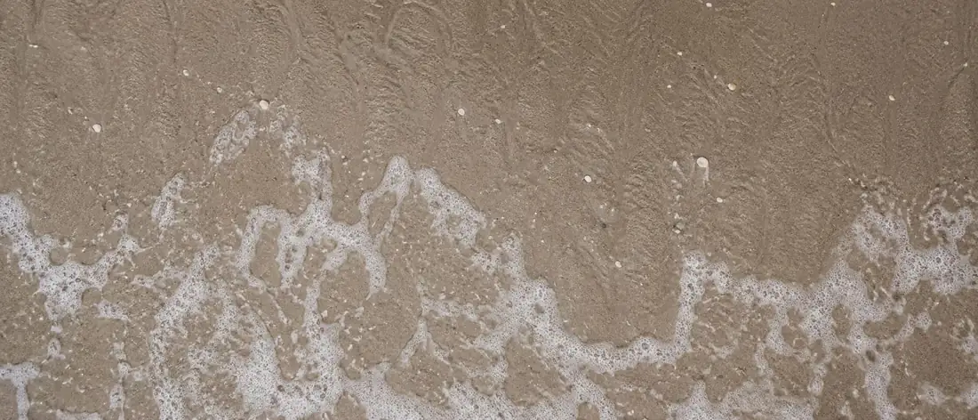 Foam running back off wet sand.