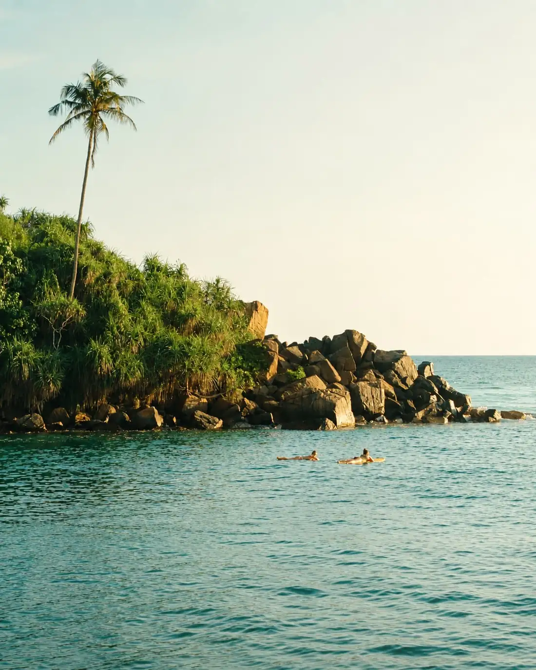 Two swimmers resting on boards in the calm water of the cove, a palm leaning off the headland.